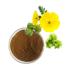 High purity organic natural tribulus terrestris extract saponin acne tribulus powder